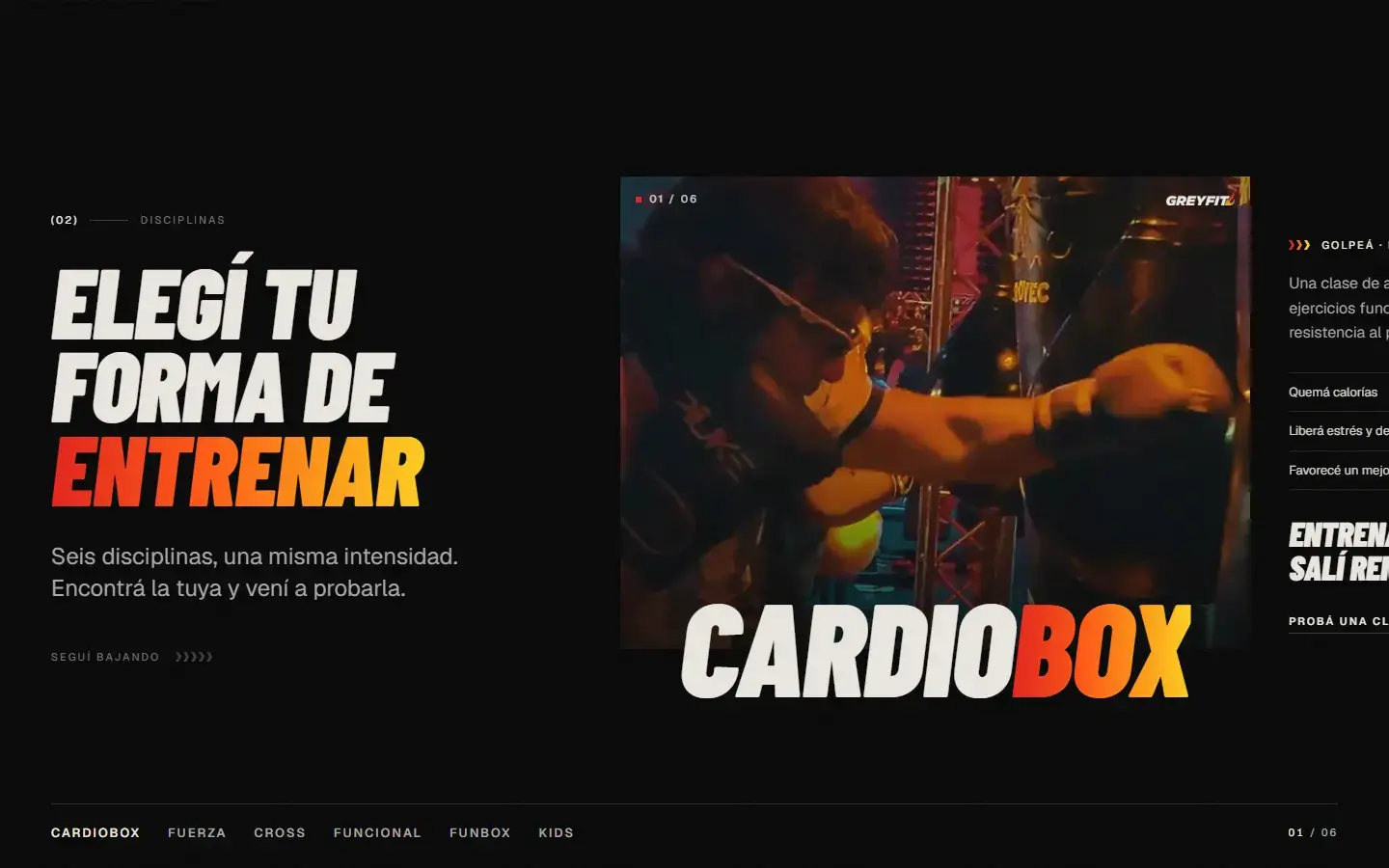 GreyFit: sección Disciplinas
