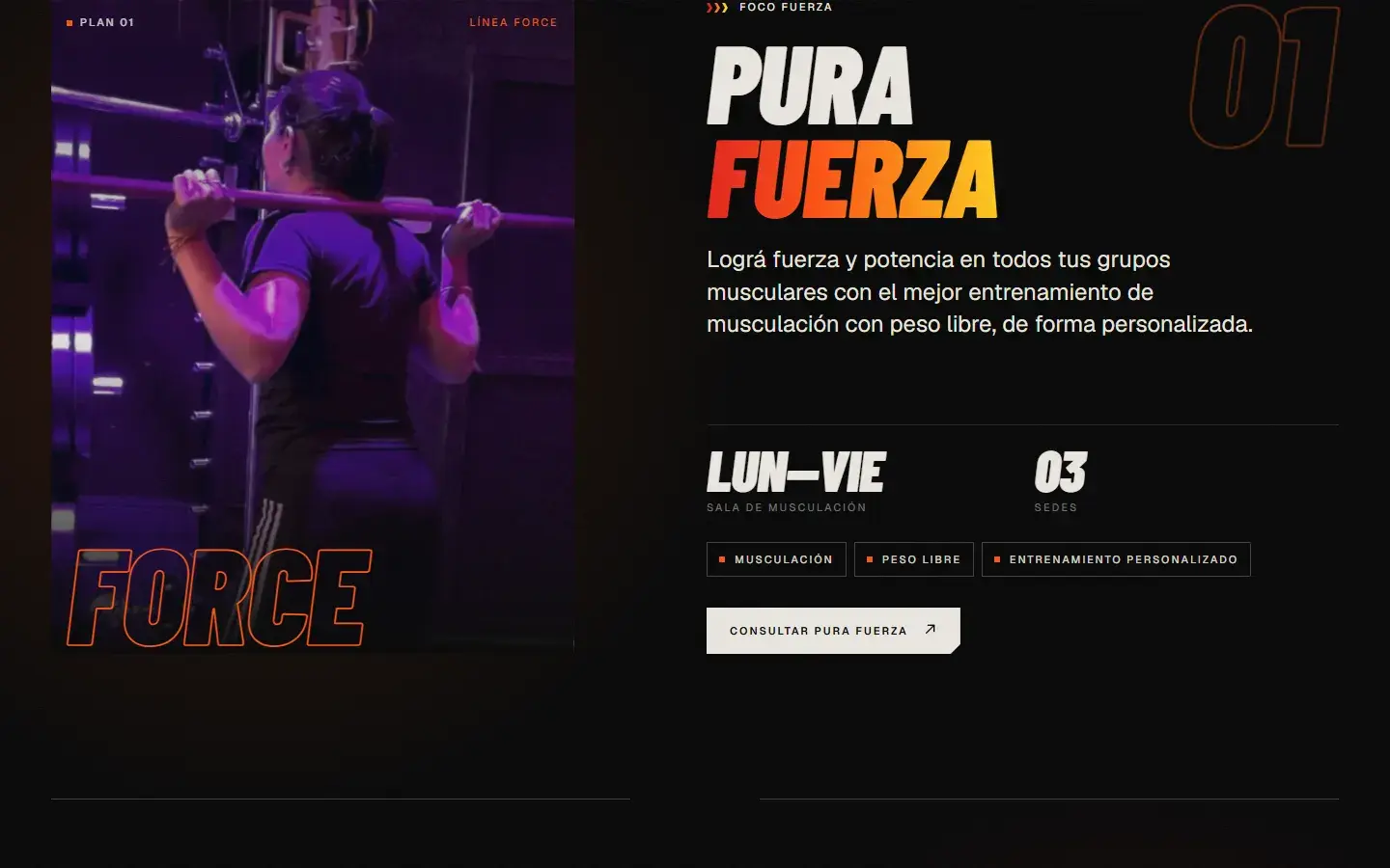 GreyFit: sección Planes